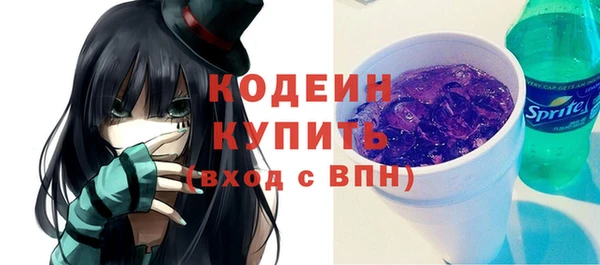 хмурый Няндома