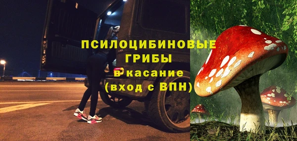 твердый Осташков