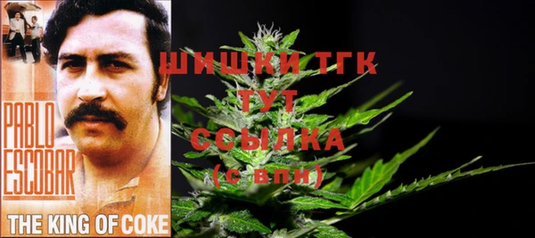 прущая мука Вязники