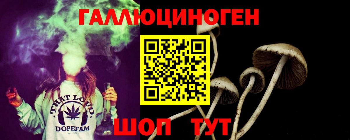 Галлюциногенные грибы ЛСД  Вход с VPN  Тавда  Псилоцибиновые грибы Psilocybe 